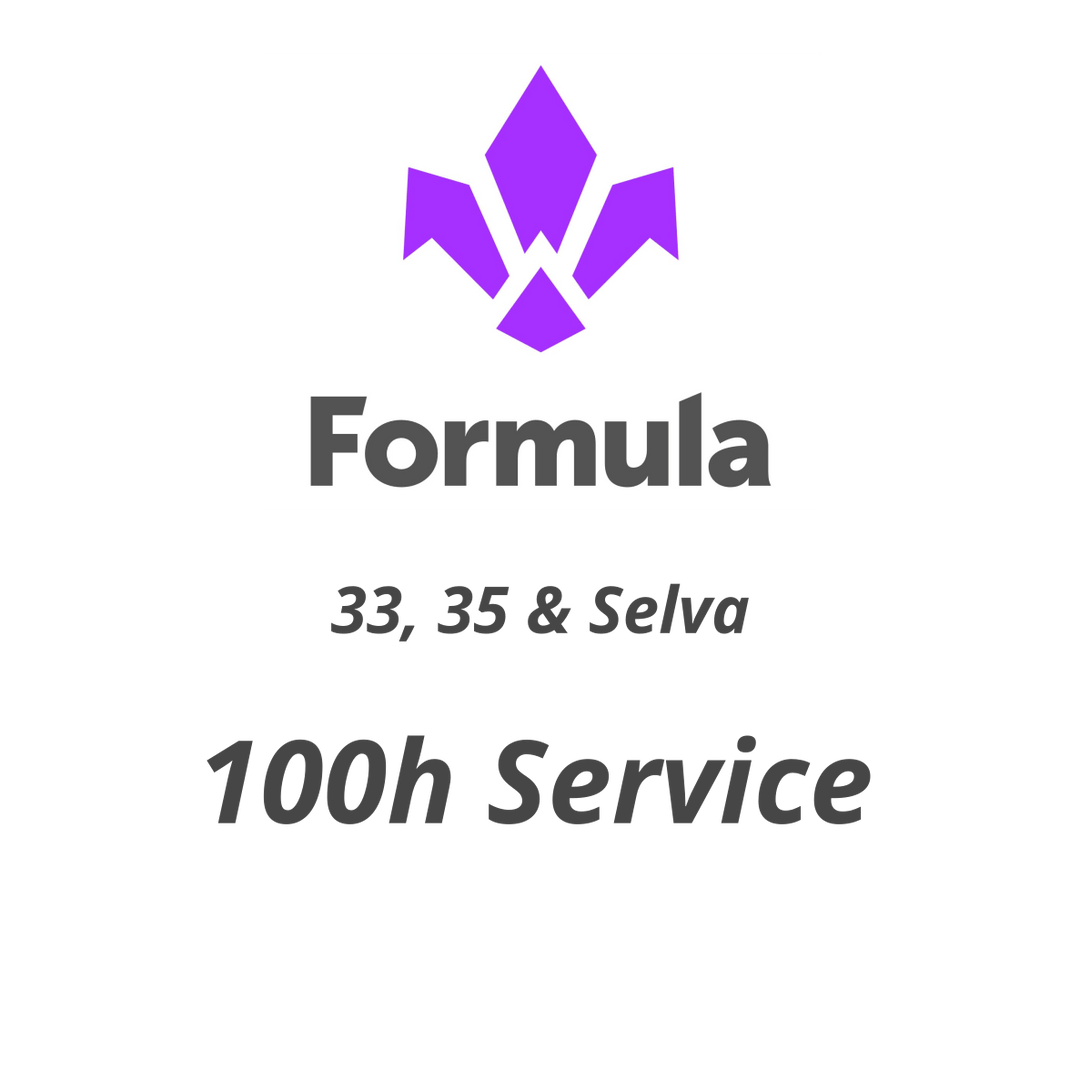 100 h Formula 33, 35 and Selva Fork Service - Flow Suspension -