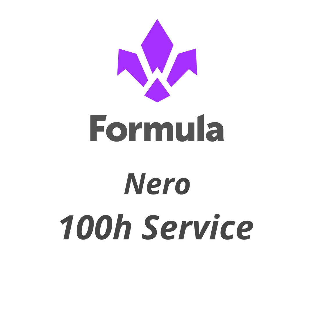 100 h Formula Nero Fork Service - Flow Suspension -