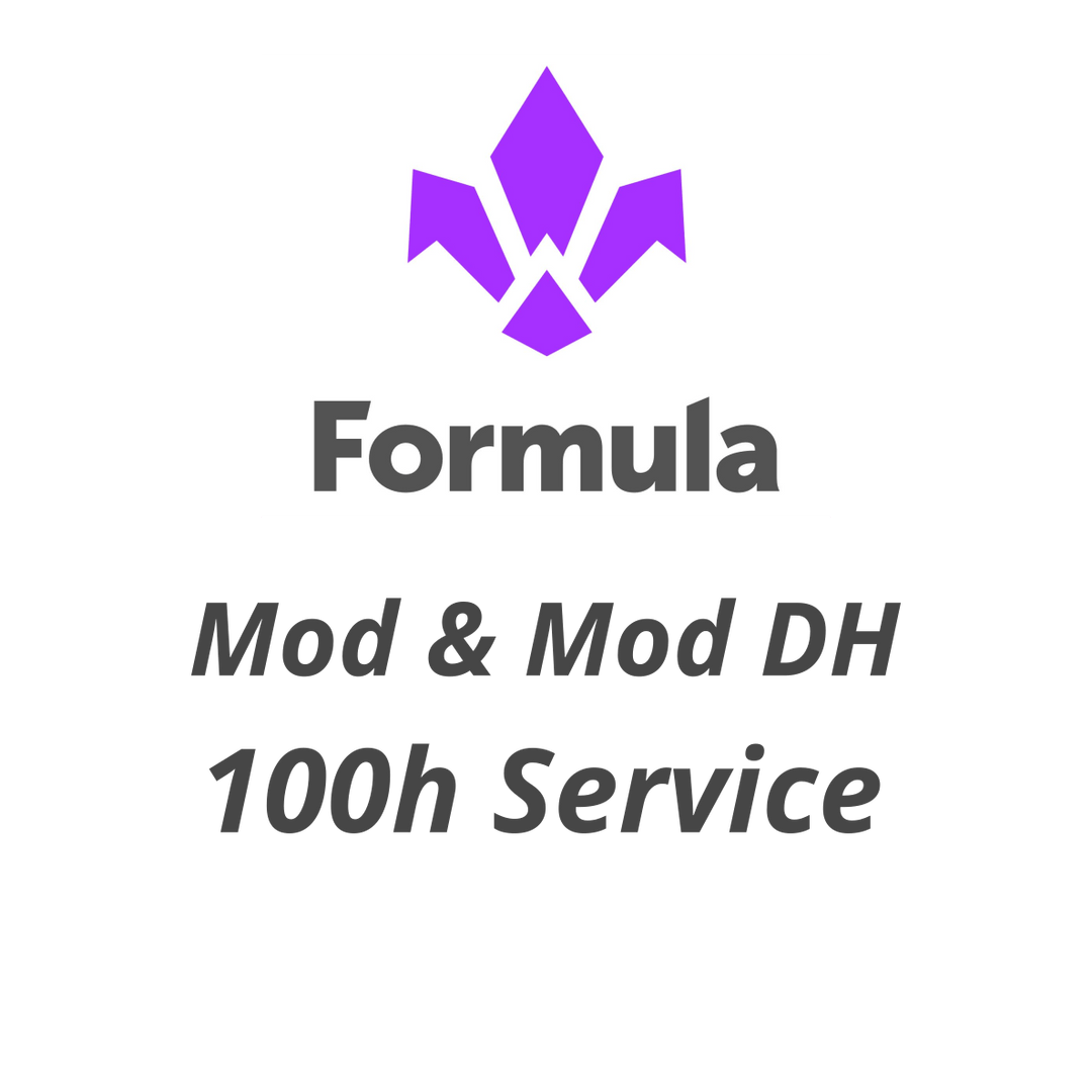 100 h or annual Formula Mod and Mod DH shock service - Flow Suspension -