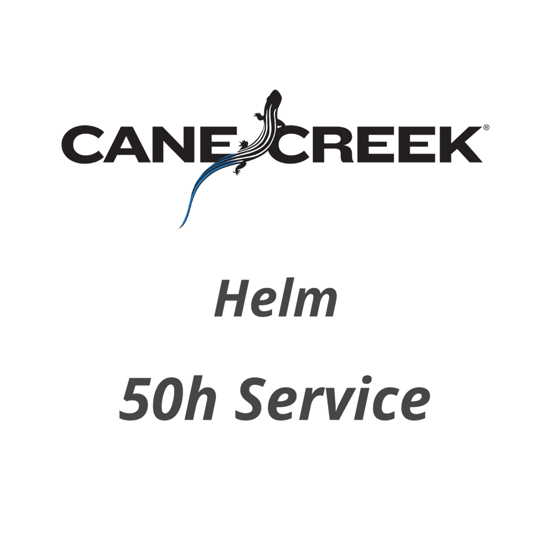 50 h Cane Creek Helm Fork Lower Leg Service - Flow Suspension -