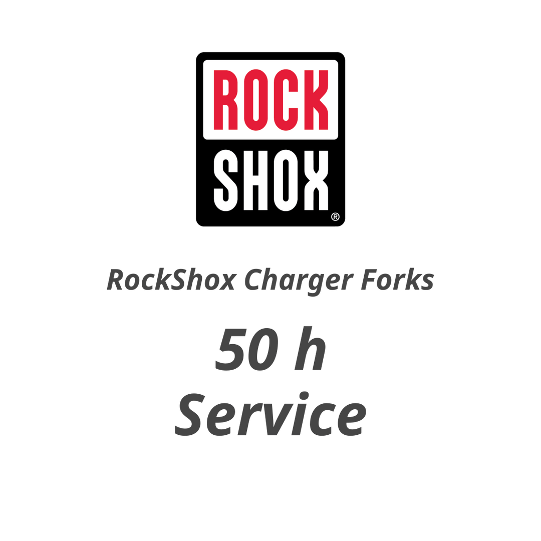 50 h RockShox Charger / Closed Cartridge Service - Flow Suspension -