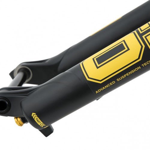 Öhlins  RFX 34/36/38 - Flow Suspension
