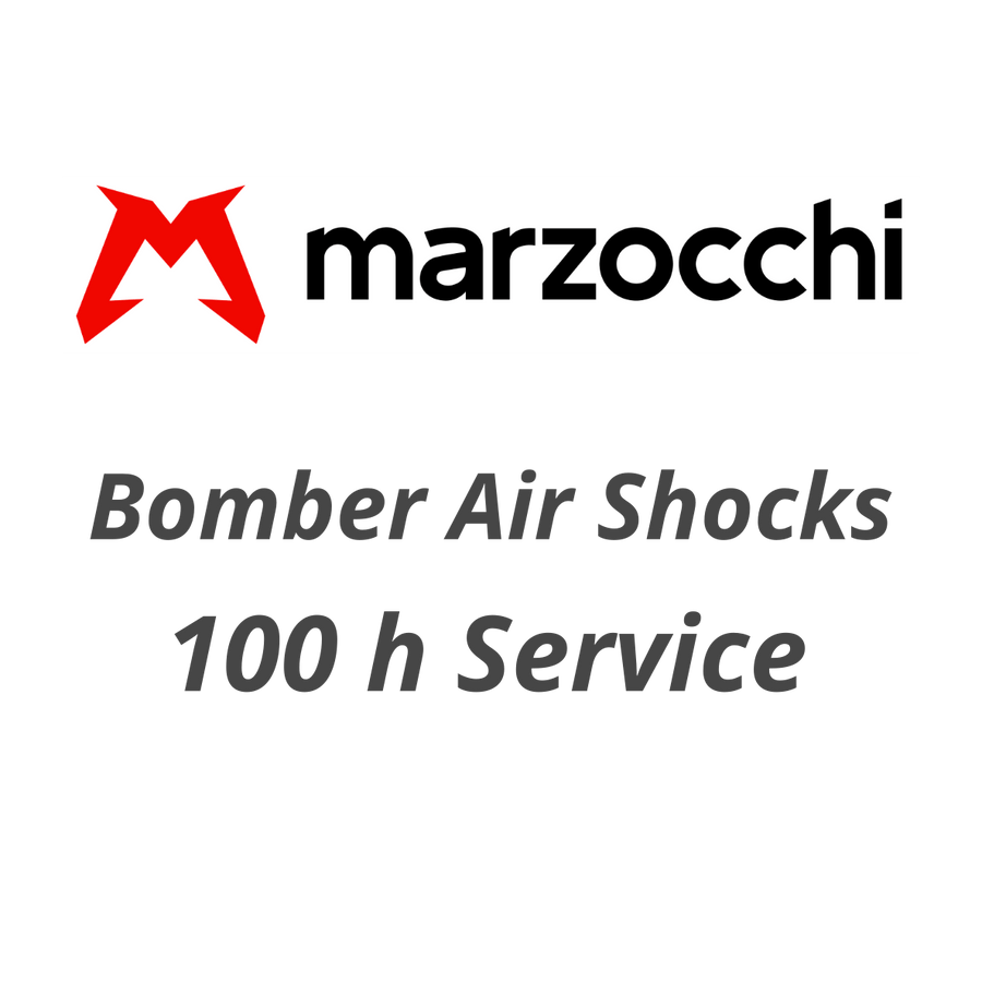 100 h or annual Service Marzocchi Air Shock - Flow Suspension - 