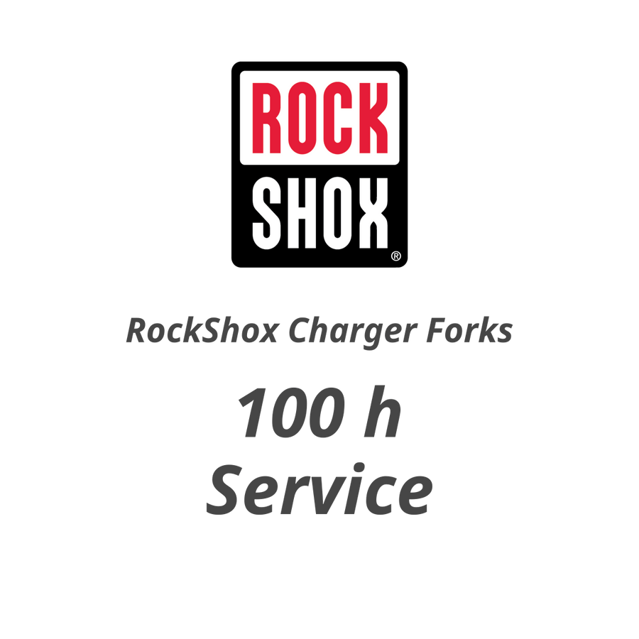 100 h RockShox Charger / Closed Cartridge Service - Flow Suspension - 