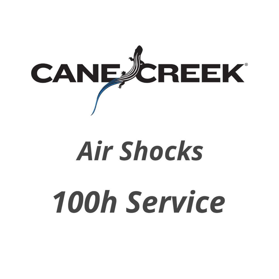 100 h or annual Cane Creek Air Shocks Service