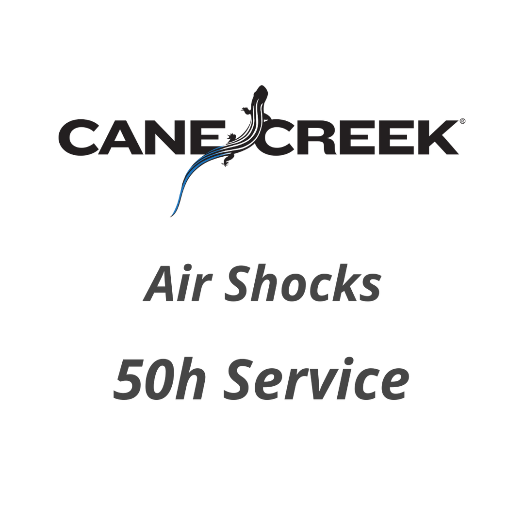 service 50 ore ammortizzatori Cane Creek ad aria