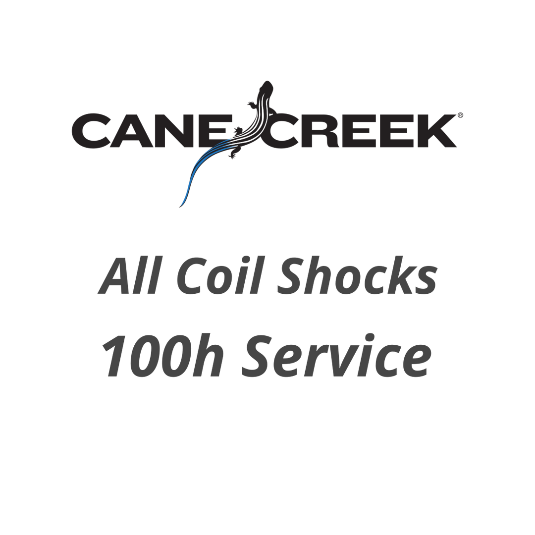 100 h or annual Cane Creek coil shock service