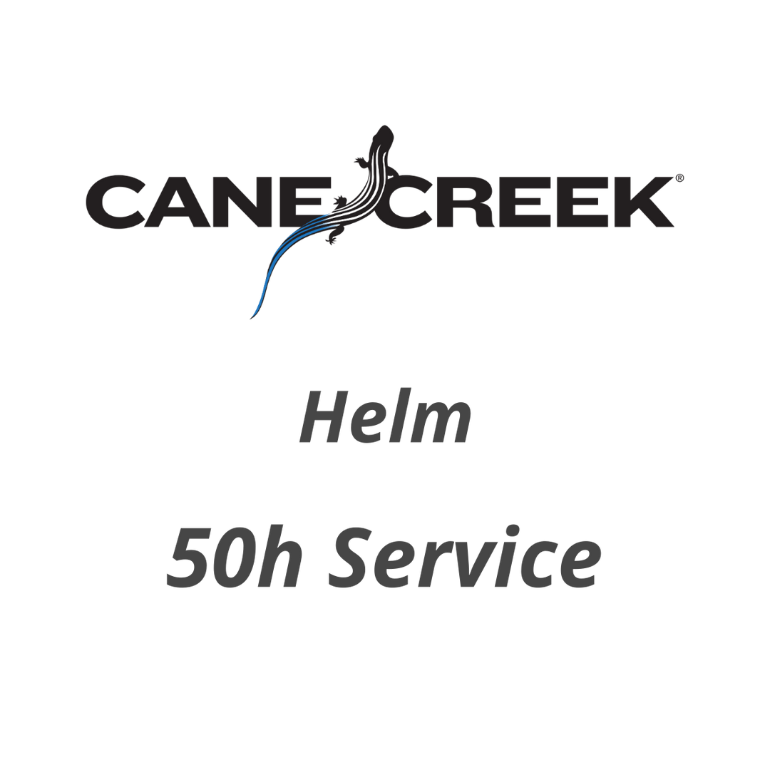 service 50 ore forcella Cane Creek Helm
