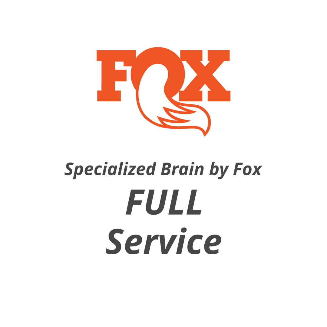 service completo Fox Specialized Brain Shock