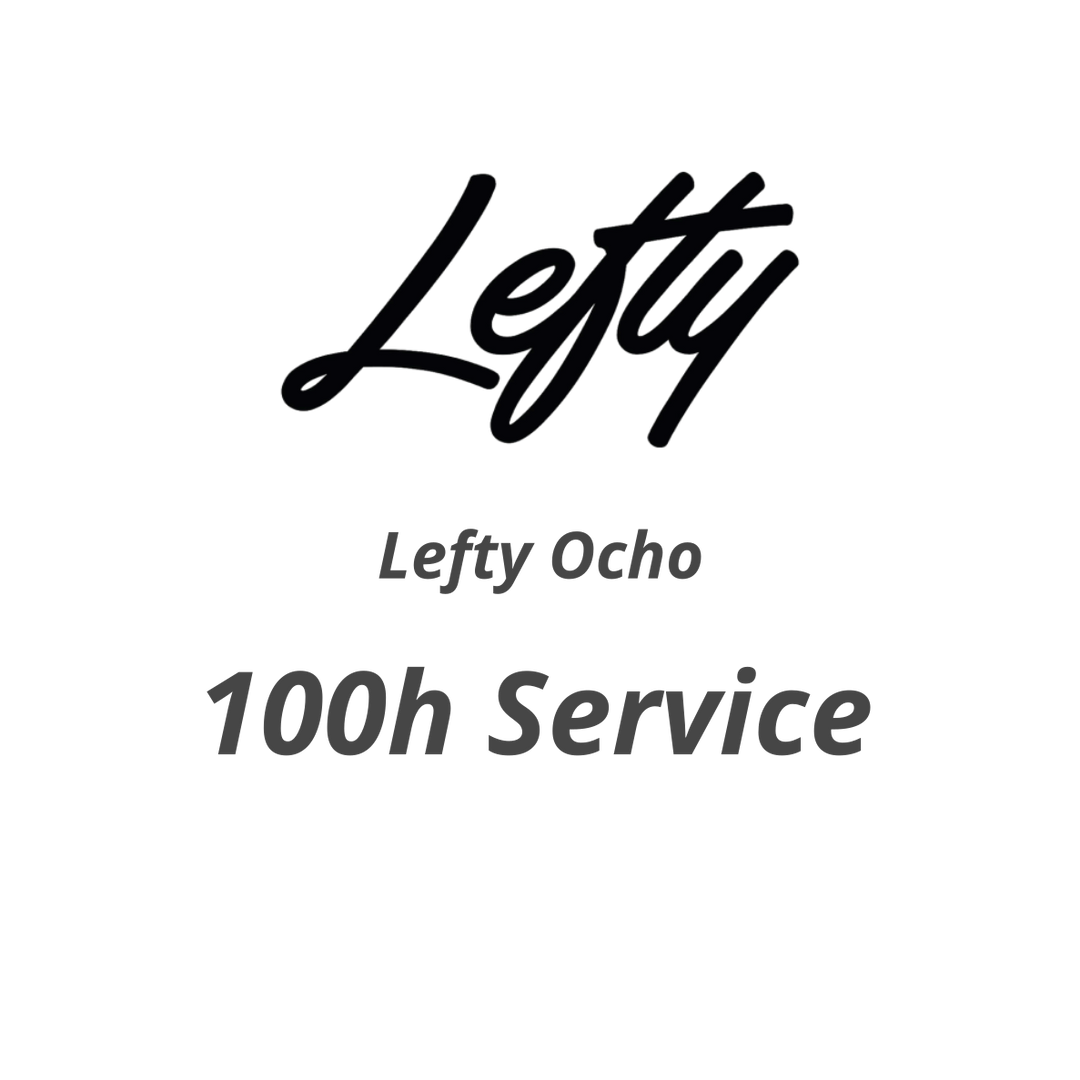service 100 ore forcella Lefty Ocho