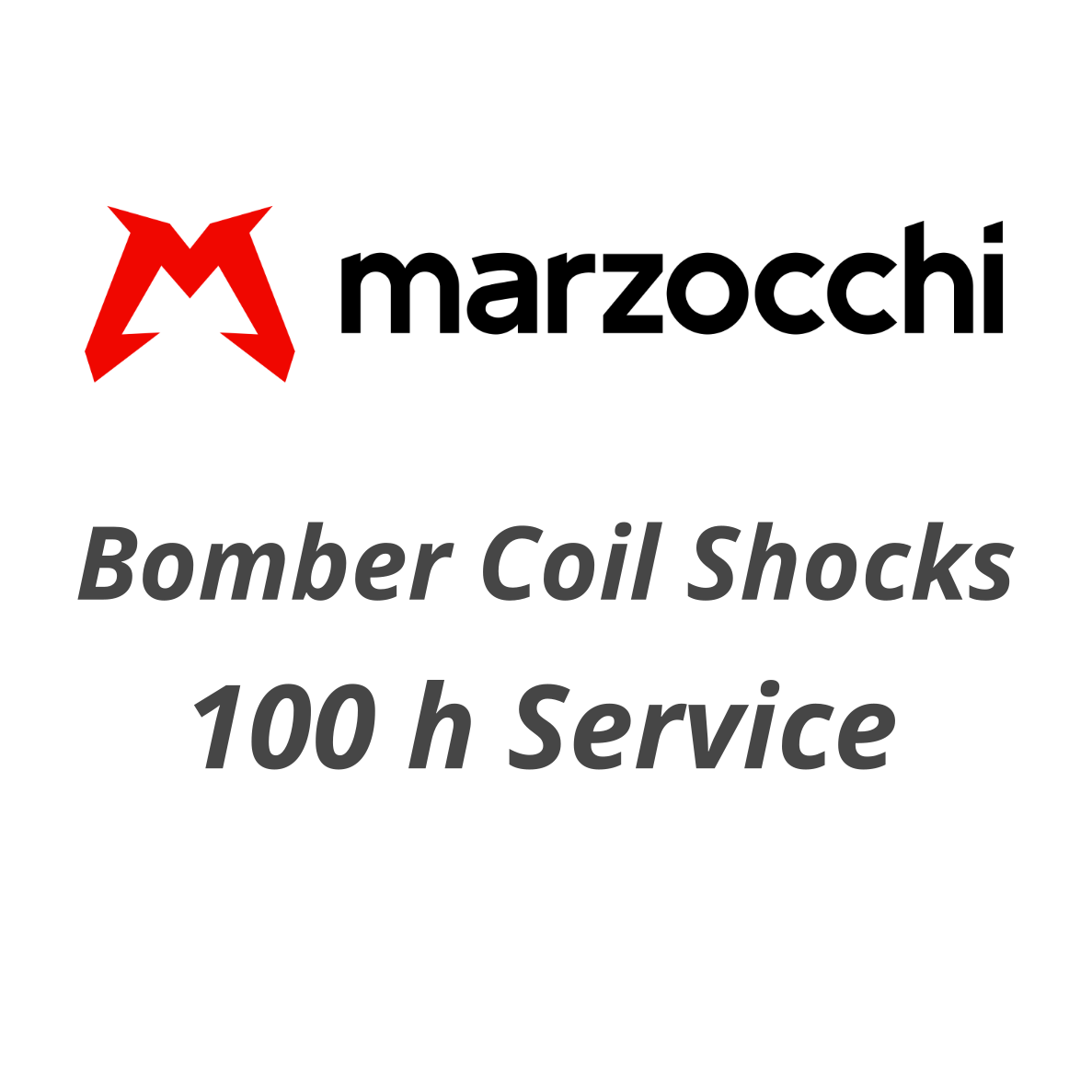 100 h Service Marzocchi Coil Shocks – Flow Suspension