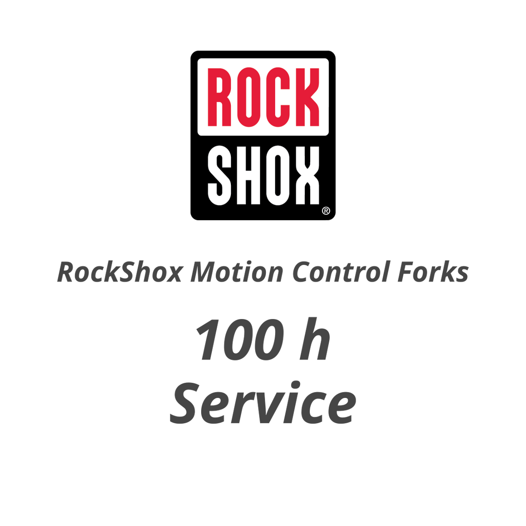 100 h RockShox MotionControl / Open Bath Fork Service