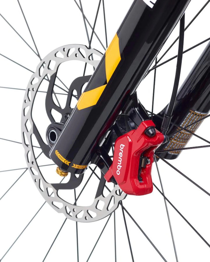 BREMBO GR - PRO - Flow Suspension - 